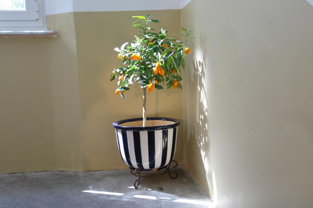 Holiday home Il 23 La Spezia
